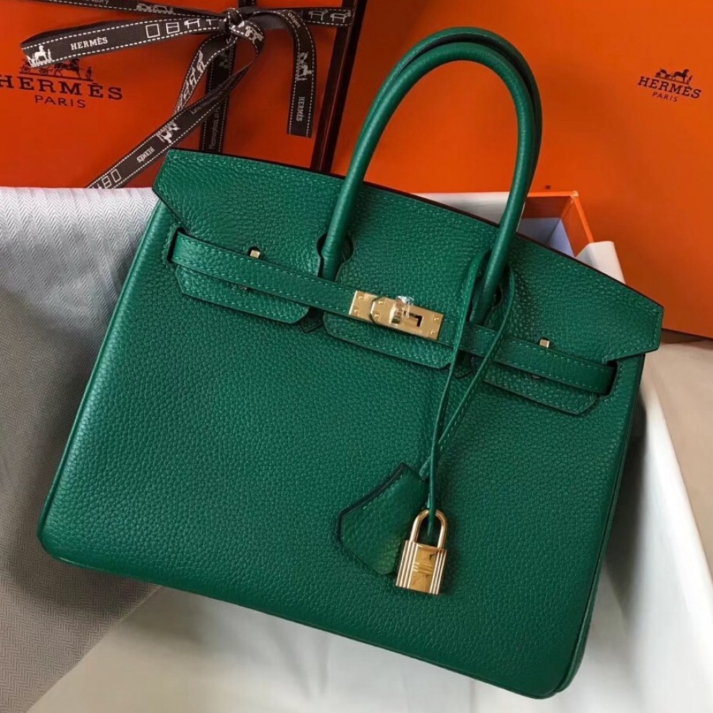 Hermes Birkin 25 Bag In Vert Vertigo Clemence Leather with GHW