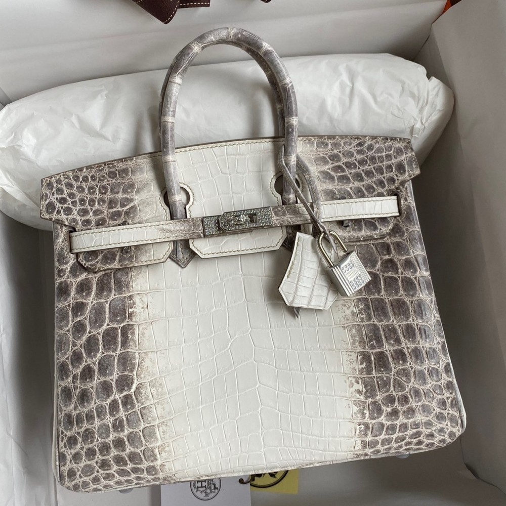 Hermes Birkin 25 Diamond Bag In Himalaya Niloticus Crocodile Skin