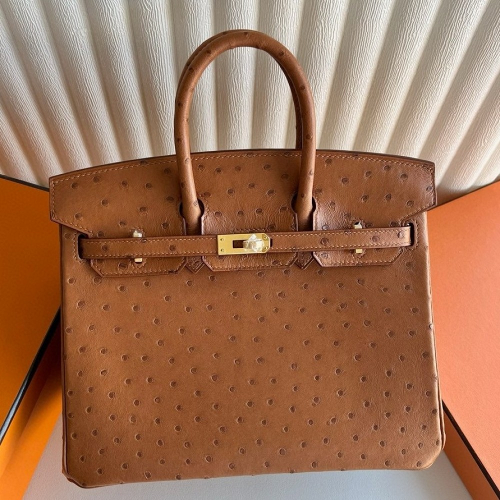 Hermes Birkin 25 Retourne Handmade Bag in Gold Ostrich Leather